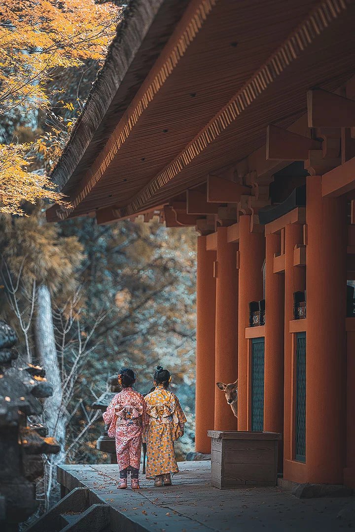 🌾 가스가 계단식 논 (가스가노타나다) 이미지 6